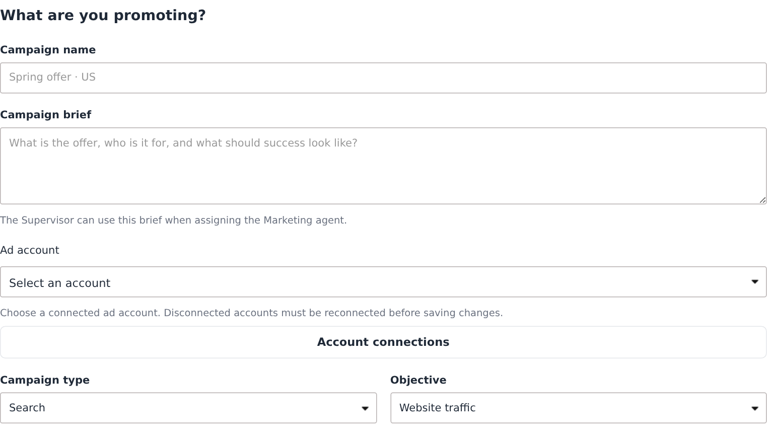New Google campaign brief with name, offer, account, Search or Display type and objective