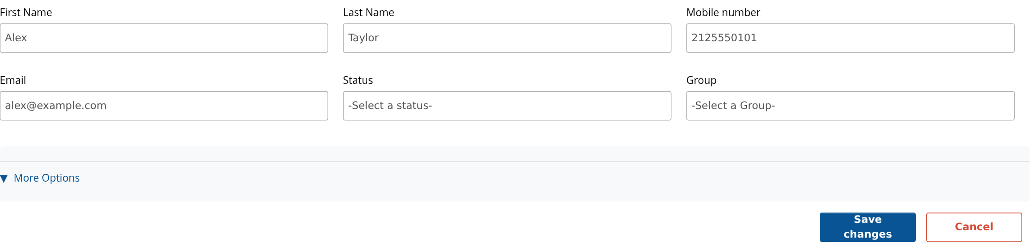 New lead form with name, mobile number, email, status, group and More Options