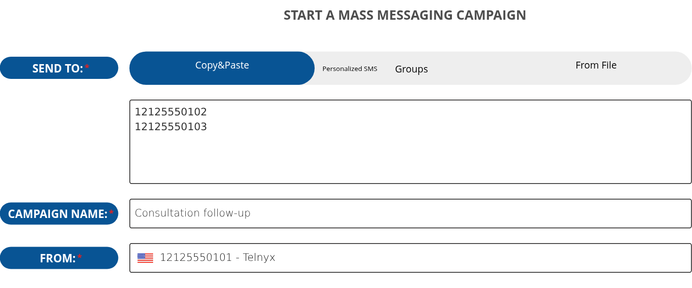 Bulk SMS audience choices, campaign name and sending number